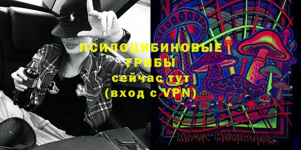 крисы Богородицк