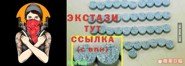 стаф Богданович