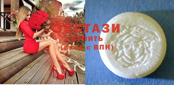 крисы Богородицк
