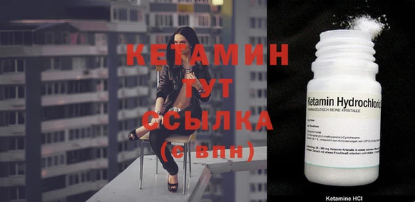 стаф Богданович