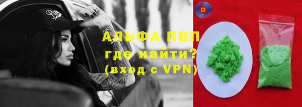 стаф Богданович