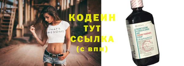 крисы Богородицк