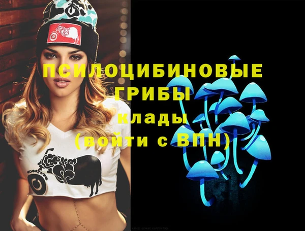 МДПВ Верея