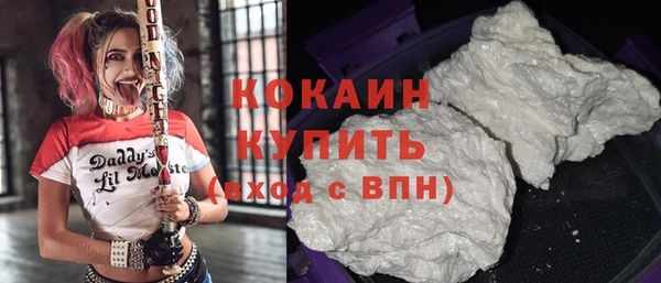 стаф Богданович