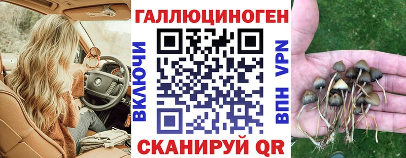 Галлюциногенные грибы ЛСД  МЕГА зеркало  Камень-на-Оби  купить наркотики цена 